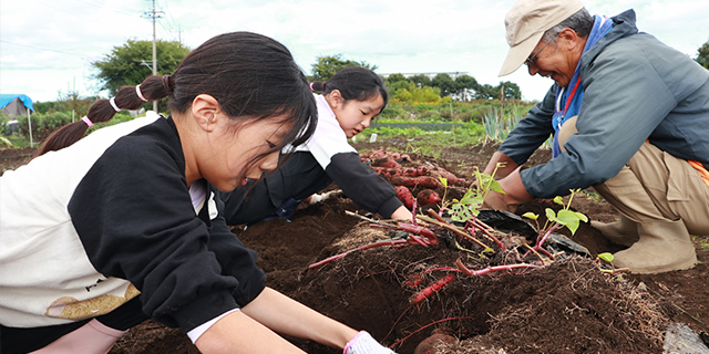 畑仕事の手伝い